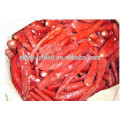 IQF frozen red chilli price